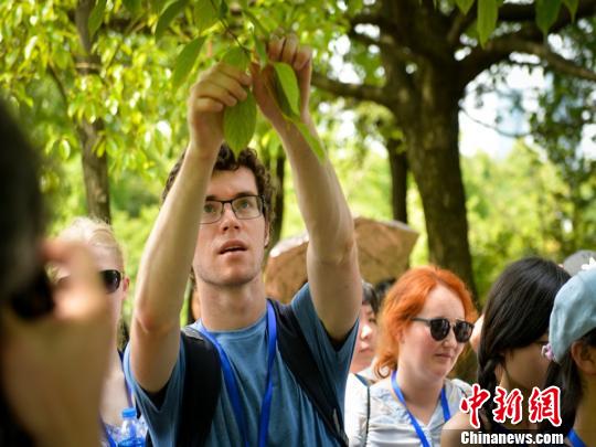 图为上海交通大学药学院英文版《中医药与中华传统文化》慕课(MOOC)课程的线下部分。